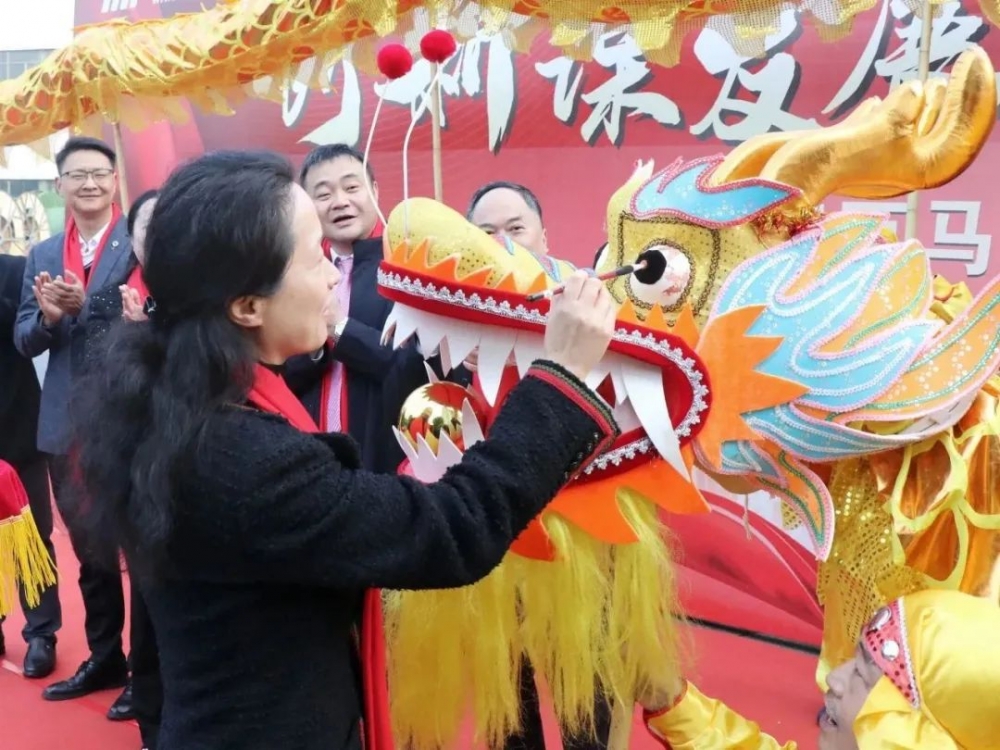 金龙起舞，DB旗舰官方电缆开工大吉！